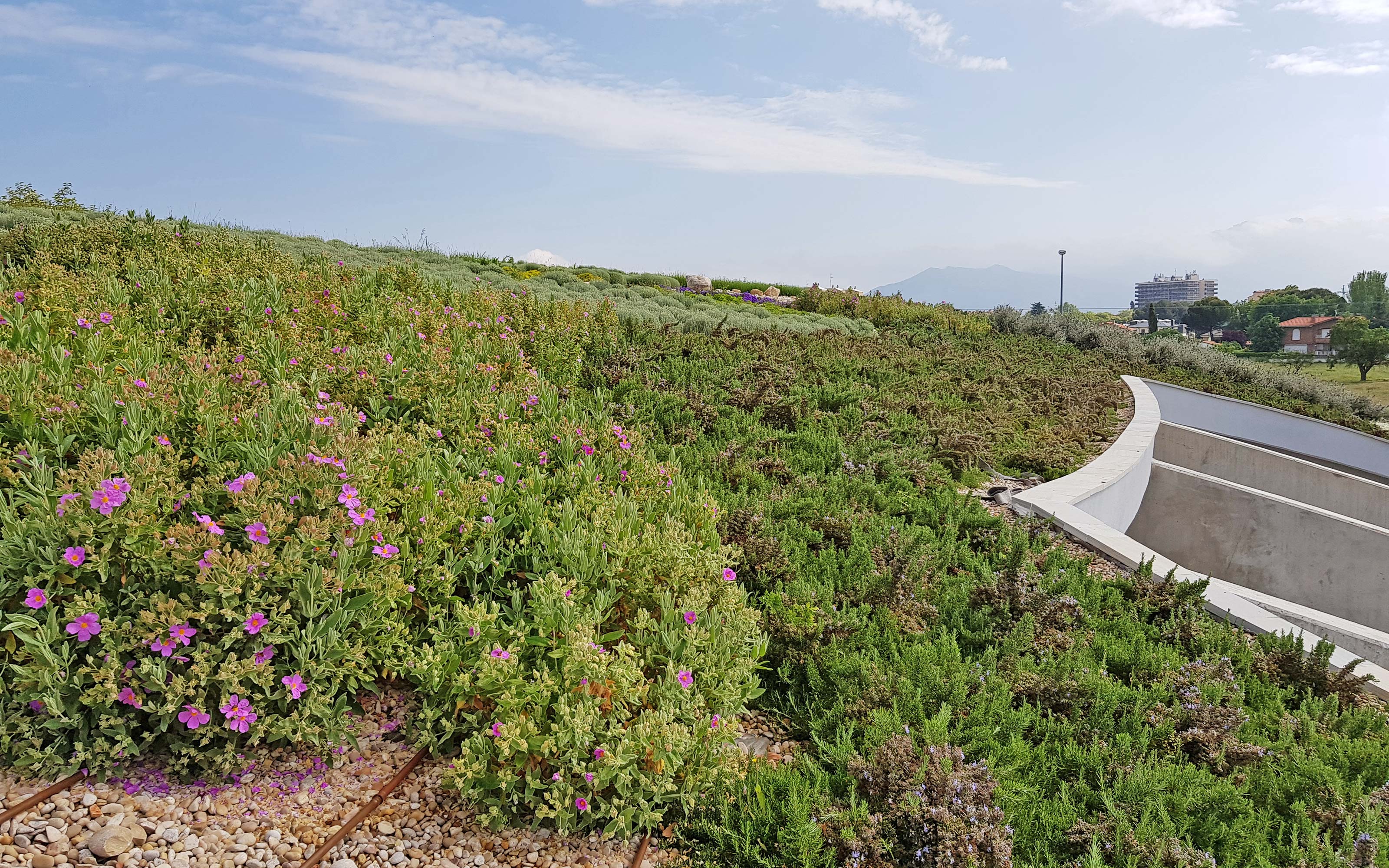 Pitched green roof with irrigation pipes